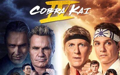 Cobra Kai is the Best Show on Television